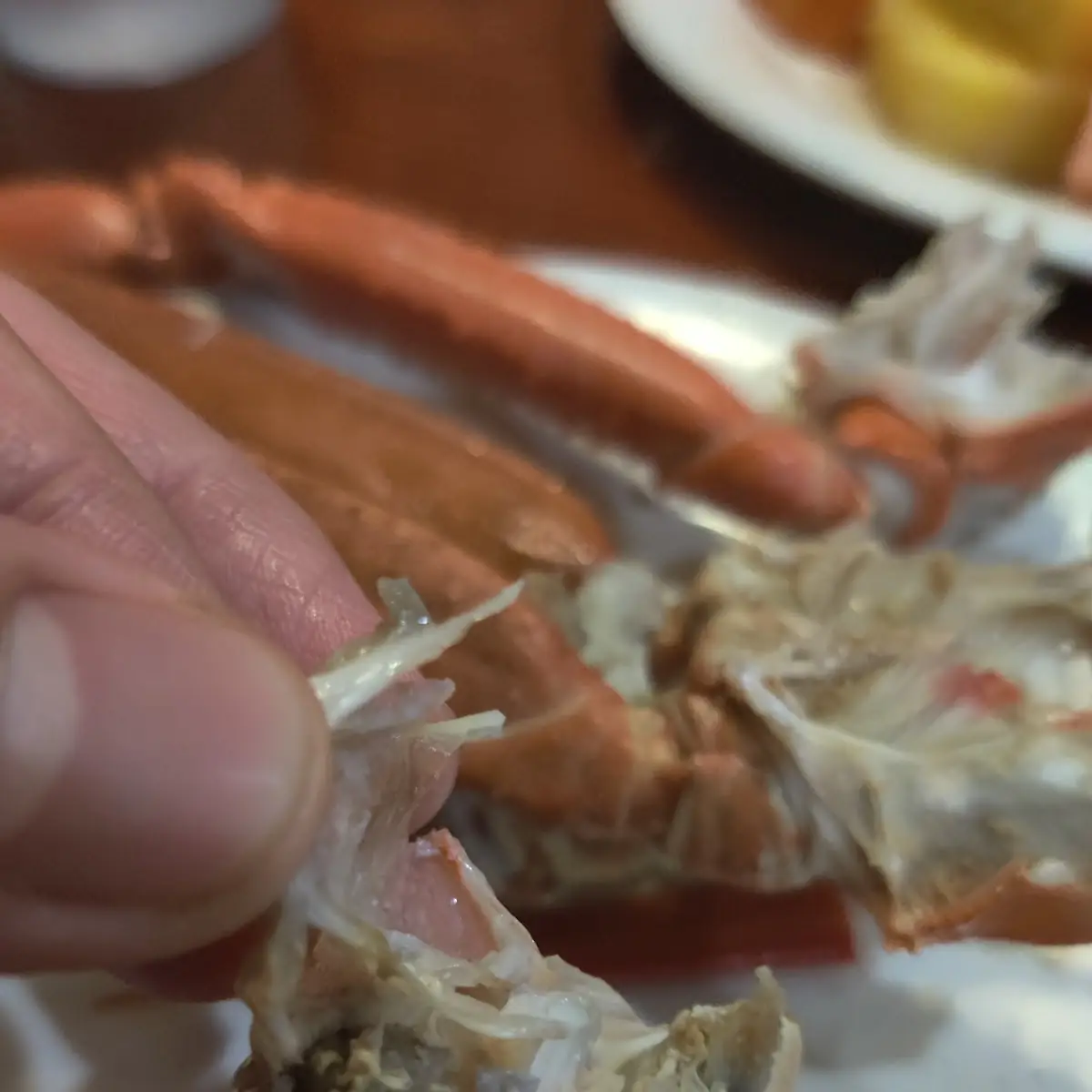Snow Crab Leg 蟹脚